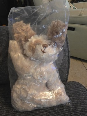 Bukowski Bear Plush Stuffed Animal Toy in Plastic Bag .Never Opened.