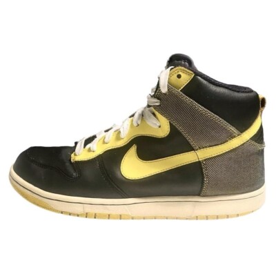 nike dunk high north