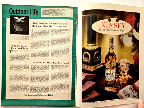 Outdoor Life December 1950 A Living From the Wilderness - Alaska Brown Bear - Picture 17 of 17