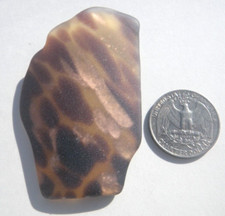 Sea Glass, Large Amber and Brown with Beautiful Gold Sparkles