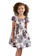 NWT Rare Editions Toddler  Little Girls Burnout Organza Social Dress - Taupe