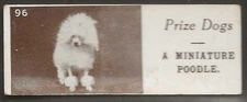 SHARPS (CONFECTIONERY)-PRIZE DOGS 1924 (PLAIN BACK)-#096- MINIATURE POODLE