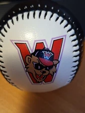 Washington Wildthings Baseball (promo) - early 2000s