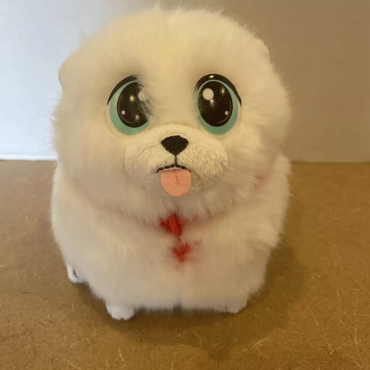 Toy pomeranian cheap rescue