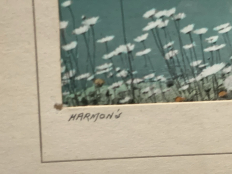 Foto enmarcada Fotografía de Don Harmons Lake Louise’ (11”x14”) 14”T 16,5”W Foto 4 de 4