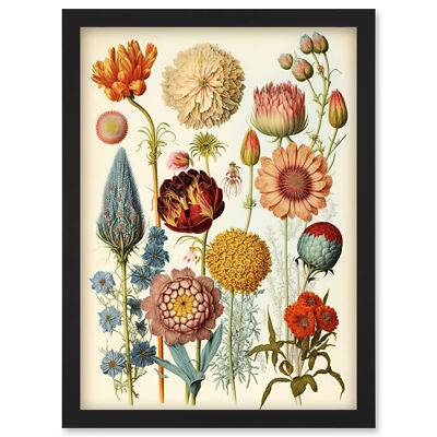 Vintage Botanische Illustration Ernst Haeckel Stil gerahmtes Kunst Bild Druck A4