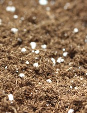 Terreau plantes carnivores - optimisé -
