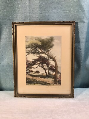 Antique Framed Art Print Where The Trade Winds Blow Signed J Norwood Beach Trees