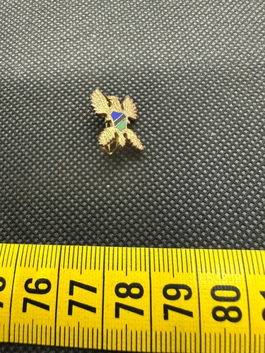 SK1601 - INSIGNE BADGE SKI CLUB TOULON
