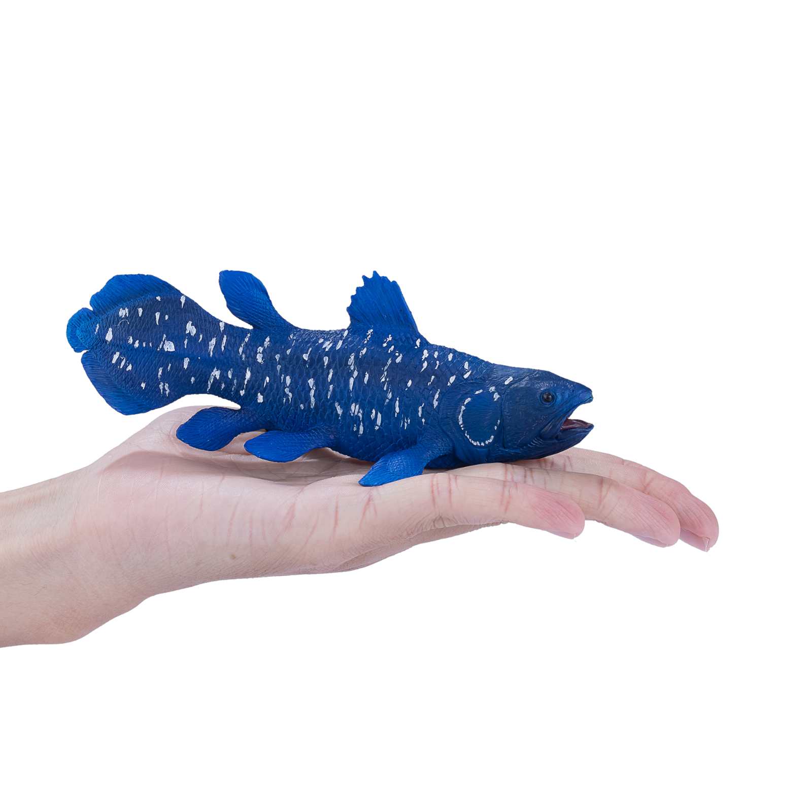 MOJO Sea Life Coelacanth Figur – Realistisches, Handbemaltes Sammlerstück Für Dioramen Oder Zum Spielen
