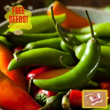 Fresh Serrano Pepper Seeds | Hot Pepper | Heirloom Non-GMO | Vegetable Seeds