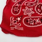 Foto 2 di 7