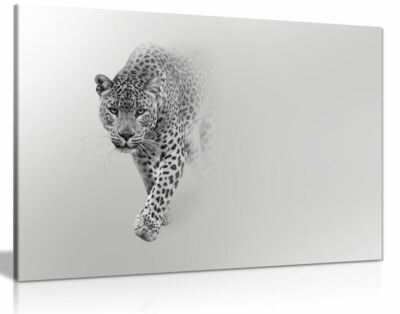 Leopard Tierwelt Leinwand Wandbild Bild Druck