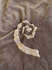 Bild 7 von 7