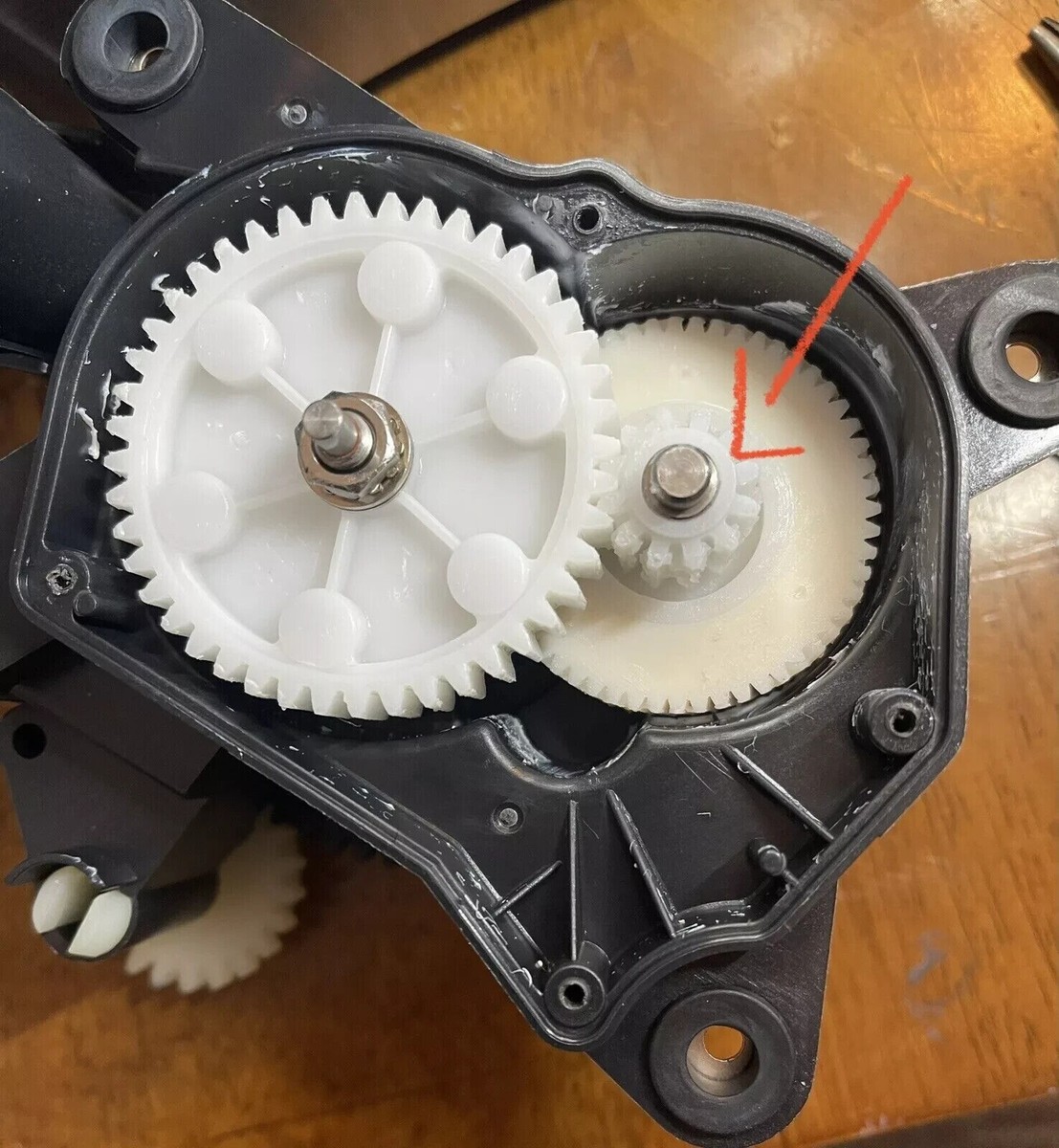 NEW Breville Grinder Main Gear Replacement Part SP0010092