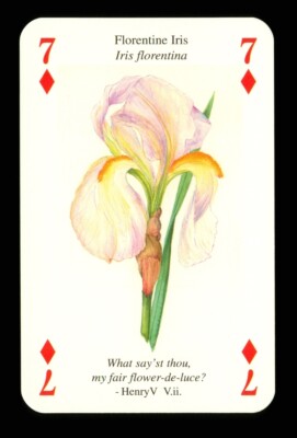 1 x Spielkarte Shakespeare Blume Florentiner Iris 7 der Diamanten Q80