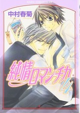 Junjou Romantica #4 | JAPAN BL fumetto manga ragazzi amore Yaoi