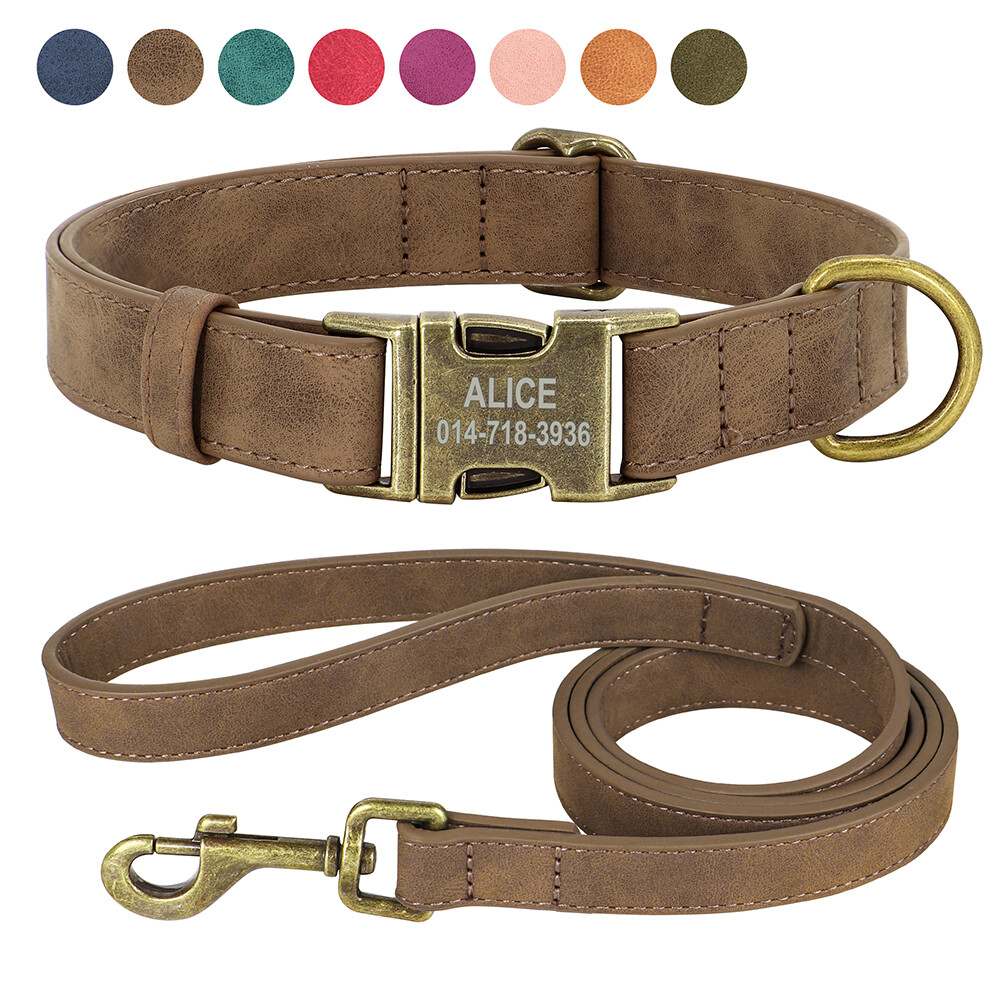 Starke Nylon-Hundeleine, 1,8 M Lang, 2,5 Cm Breit – Für Kleine, Mittlere & Große Hunde, Robust & Alltagstauglich