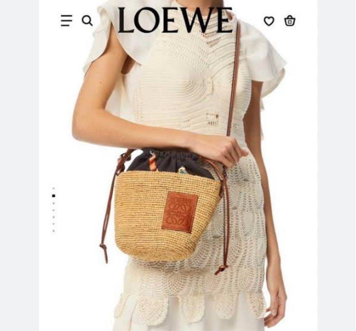 LOEWE Slit Pochette Bag (Raffia Calf) Shoulder Bag Paula Zui