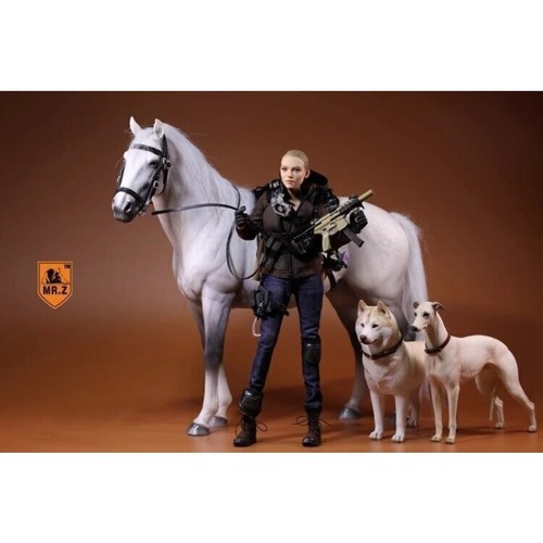 1/6 Scale Germany Hannover Horse Hanoverian Animal Model Figure Gifts Christmas - Picture 16 of 24