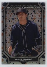2024 Goodwin Champions Platinum Rainbow Terrazzo 47/249 Keiner Delgado #P70 1pu4