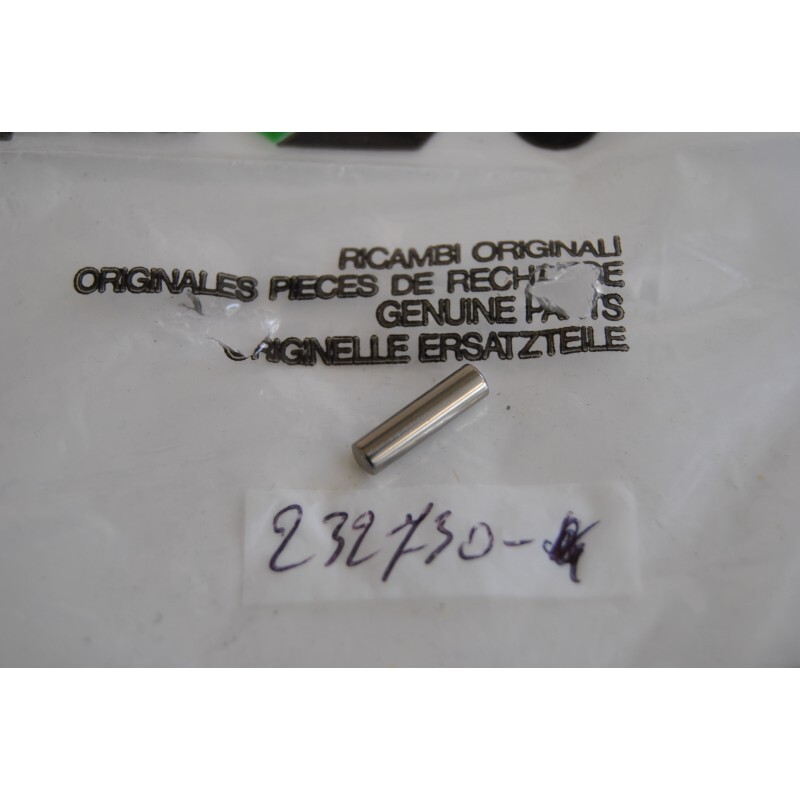 Plug Pivot Pump Oil Pump Dowel Pin Aprilia Caponord 1000 0107 Climber