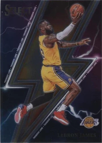 2023-24 Panini Select - LeBron James #8