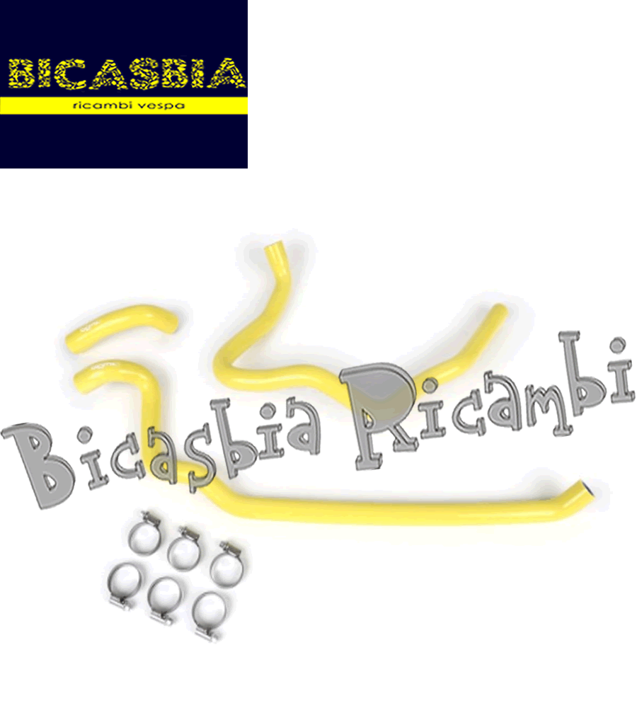 Imagen 1 de 1