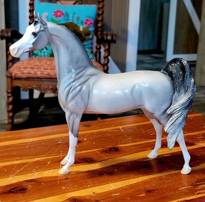 Peter Stone Arabian Horse Equilocity 2009 LSQ NAN'd 50 Produced 