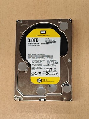 Western Digital (WD Se) 3TB WD3000F9YZ Enterprise-Class Festplatte 100% Zustand