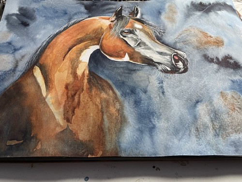 COA Original Art Watercolor Painting Arabian Horse Portrait 12”x16” Vintage A3 A - Picture 4 of 4