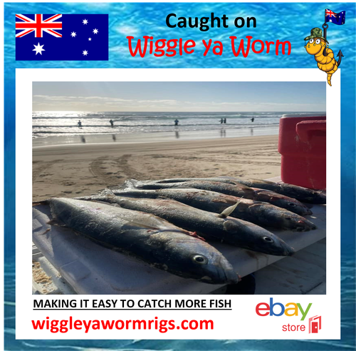 2x Complete ready to go Tailor & Surf rig, 3x 3/0 ganged hooks & sinker! - Picture 9 of 13