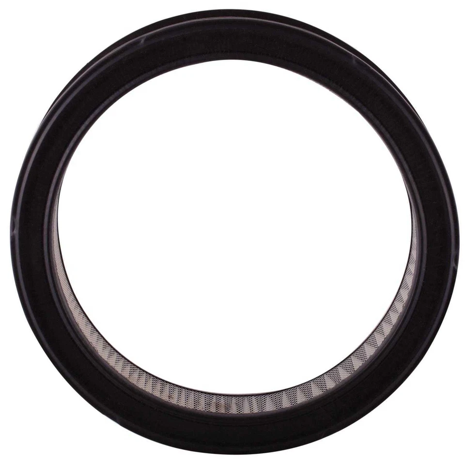 Filtro de aire para Pontiac Firebird Bonneville 1972-1992, Catalina, Grand Prix Grand Foto 2 de 4