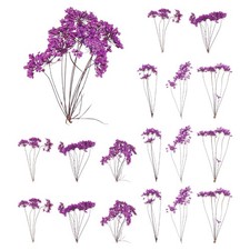 18 Pcs Lace Natural Real Pressed Dried Flower for Art Craft DIY, Purple