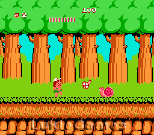Imagen 4 de 8