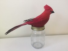 Pottery Barn Cardinal bird Clip-ons 13