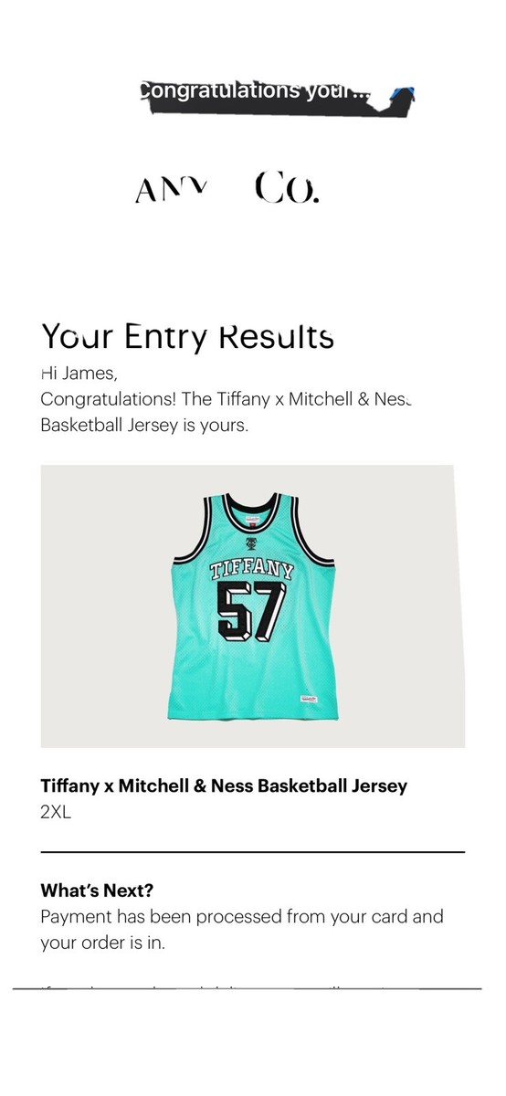 Tiffany & Co X Mitchell & Ness Basketball Jersey Size M {In