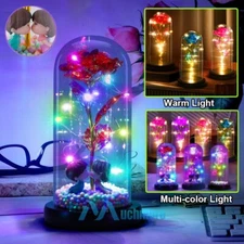 Rose in Glass Dome Preserved Flower Decortions Dome w/ LED Lights Gifts for Her