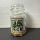 Yankee Candle Glass Mistletoe Original Jar Candle 22oz