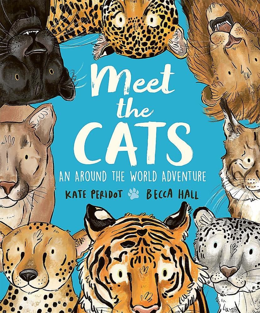 Meet the Cats - Image 8