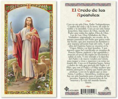 El Credo de Los Apostoles Laminated Prayer Cards - Pack of 25 in Spanish Espanol