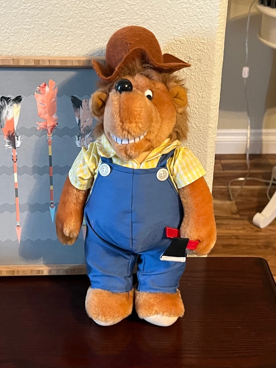 16+ Berenstain Bears Costume