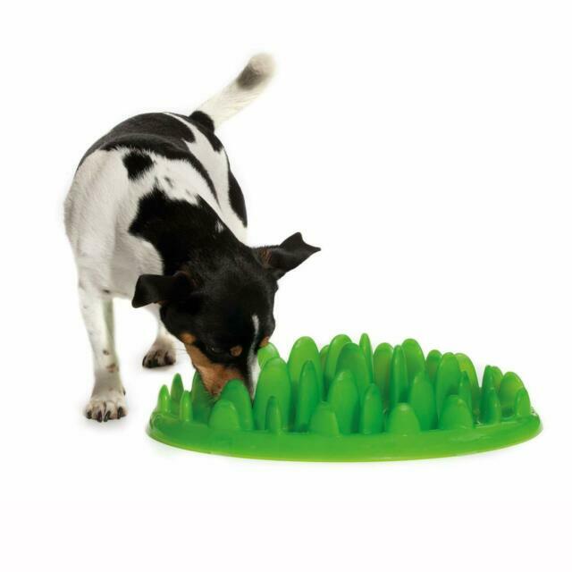 Company Of Animals Mini Green Interactive Dog Slow Feeder For Sale