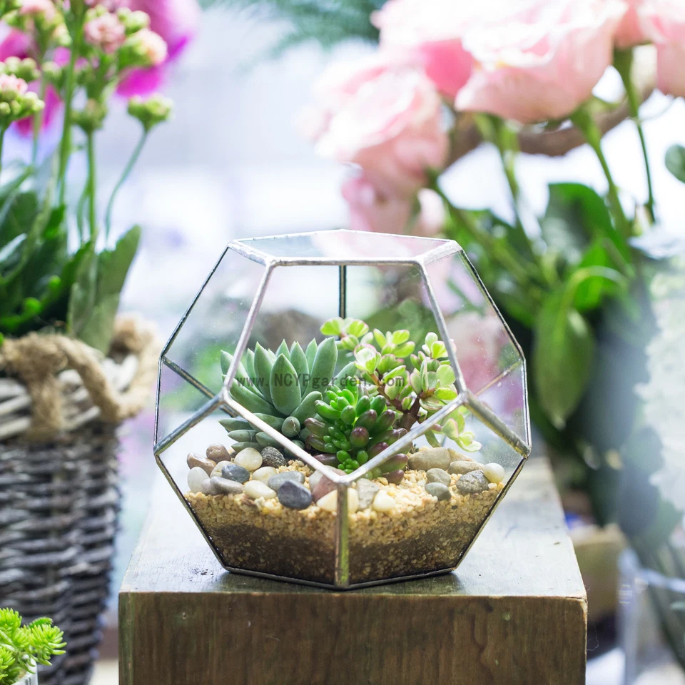 Maceta jardinera terrario de vidrio con forma de bola geométrica para regalo de Navidad Foto 2 de 4