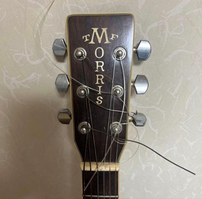 MORRIS Vintage TF Acoustic Guitar Full Size Natural Finish Guitar
