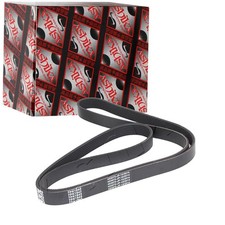 ASHIKA KEILRIPPENRIEMEN 7PK1845 passend für | 112-7PK1845