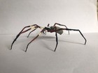 Handmade Hand-painted 5.5" Australian Orb Weaver Spider Figurine Replica Arachni — photo 6