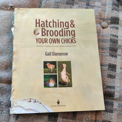 Hatching & Brooding Your Own Chicks by Gail Damerow 9781612120140 