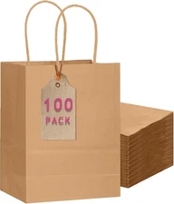 qiqee 100-Packs Brown Paper Gift Bags 1 Count (Pack of 100), Medium 