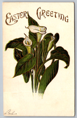 c1910s Easter Greeting Embossed Calla Lilies Embossed Antique Postcard
